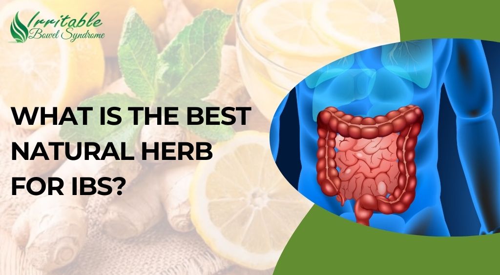 What is the Best Natural Herb for IBS?