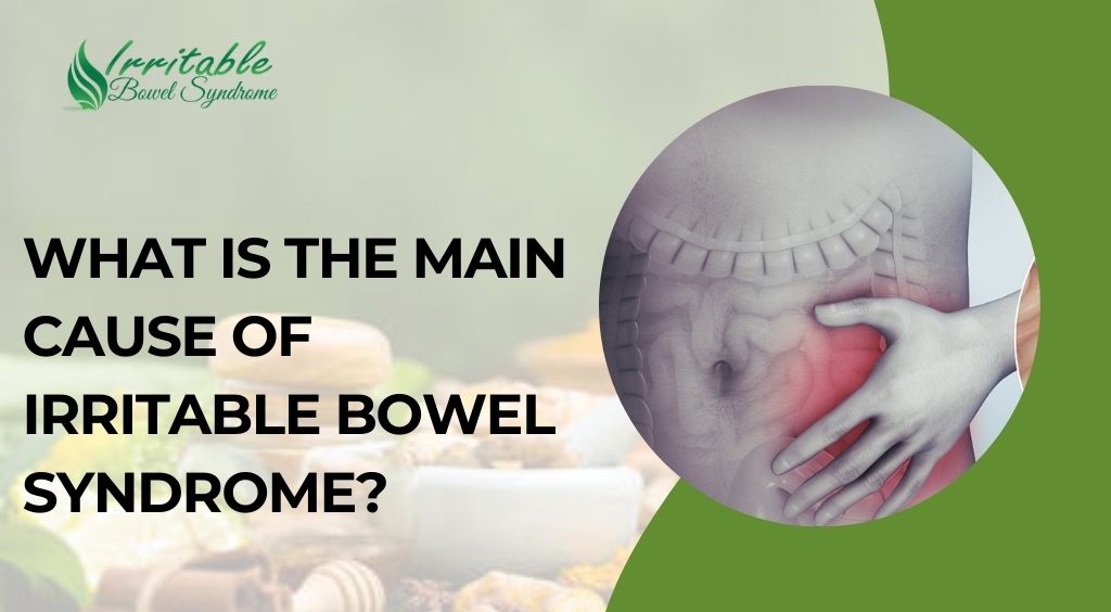 What Is the Main Cause of Irritable Bowel Syndrome?