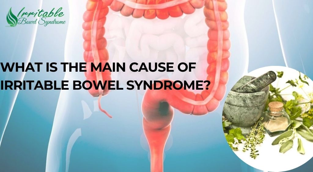 What Is the Main Cause of Irritable Bowel Syndrome?